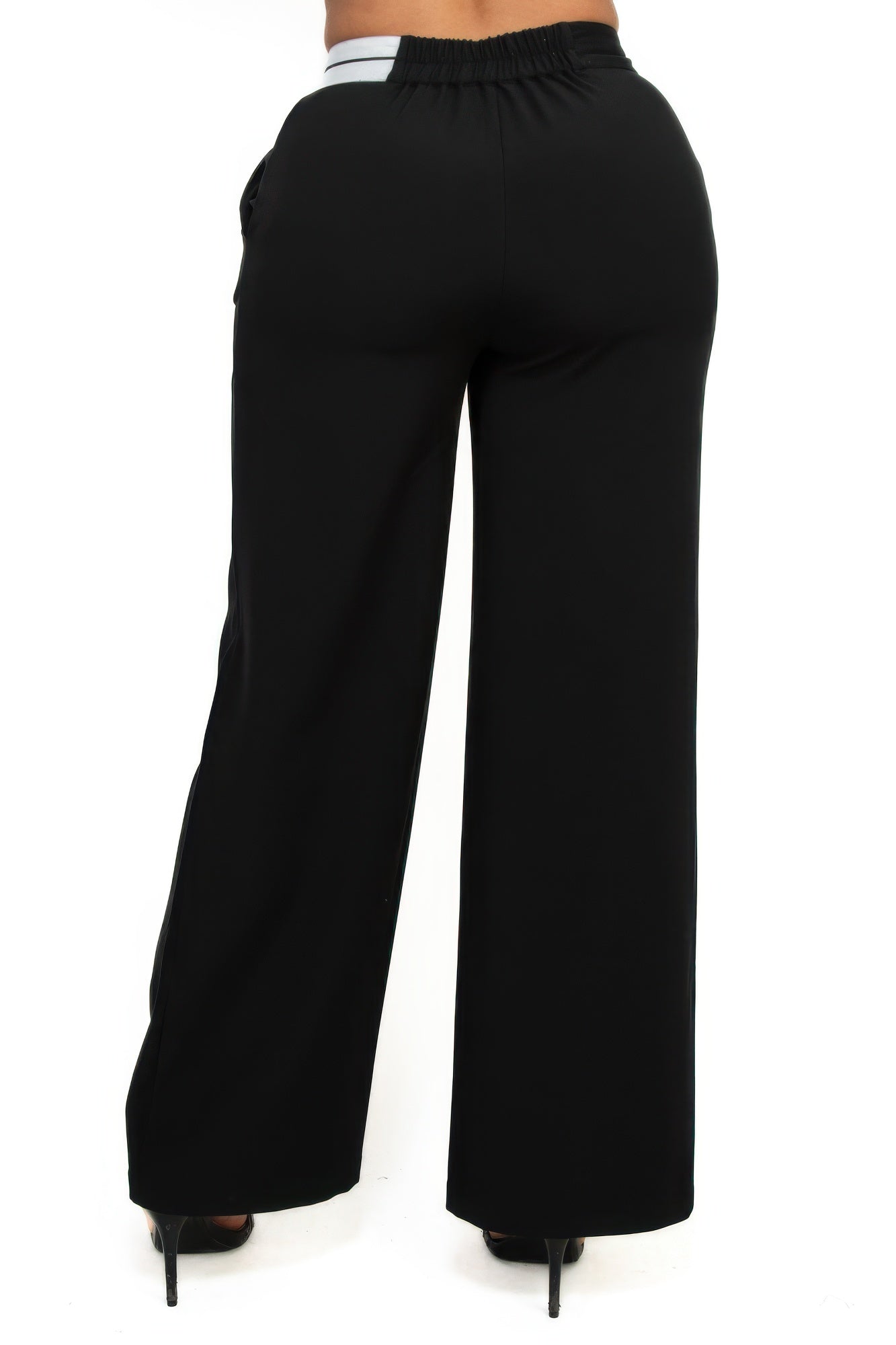 High-Rise Wide Waist Pants